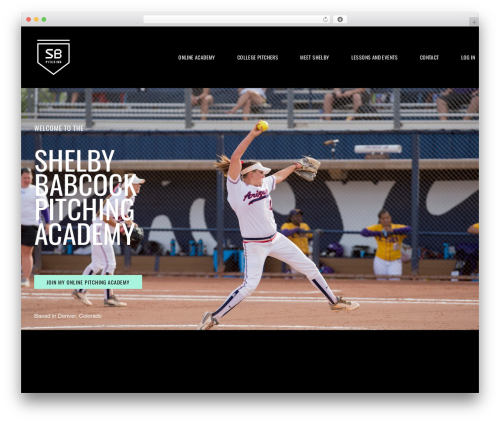 Out of the box WordPress plugin - shelbybabcockpitching.com