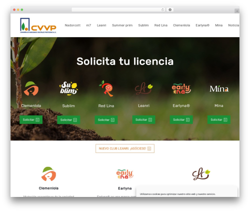 Ave core WordPress plugin - clubvvp.com