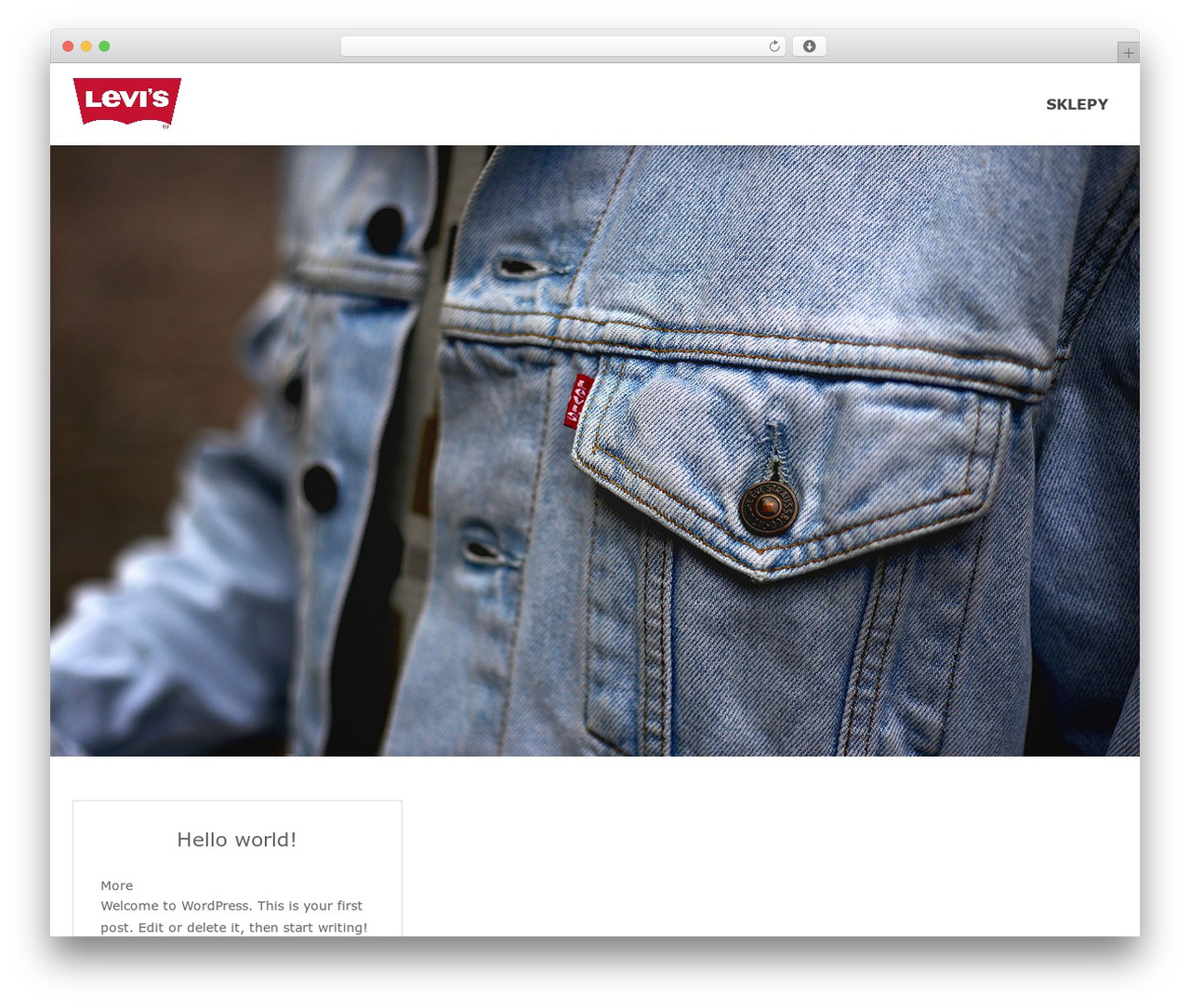 Bazaar Lite company WordPress theme - fhkdm.pl