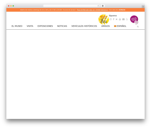 Feeds for tiktok WordPress plugin - museoautomocion.com
