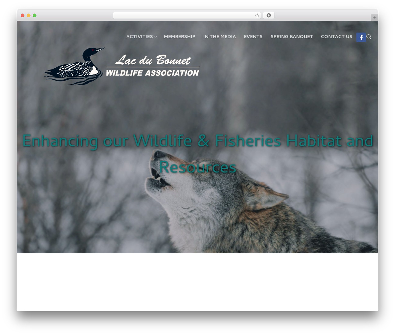 Customify theme WordPress - ldbwildlifeassociation.com Customify theme WordPress - ldbwildlifeassociation.com
