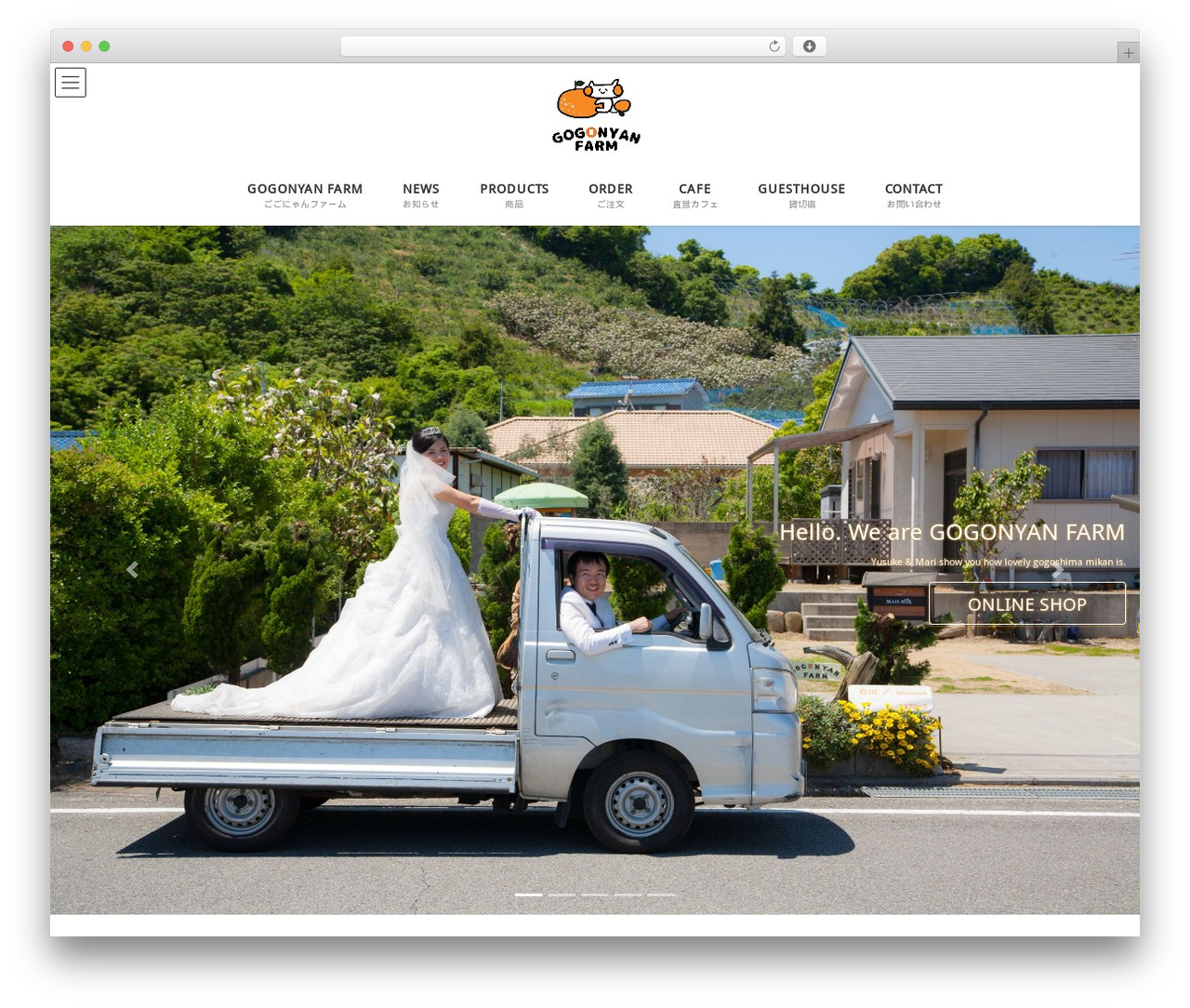 Lightning WordPress theme - gogonyan.com
