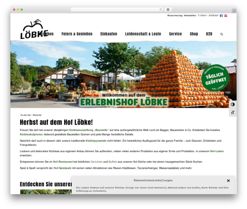 Theme WordPress Enfold - loebke.com