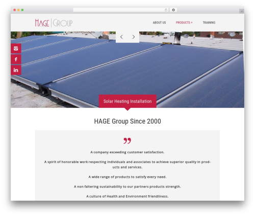 WordPress theme Mini Theme - hagegroup.com