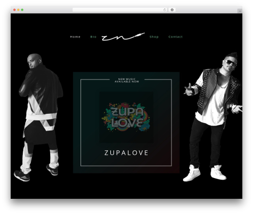 WordPress theme Sonaar - zupanovaofficial.com