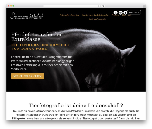 Smart before after viewer WordPress plugin - dianawahl-fotografie.com