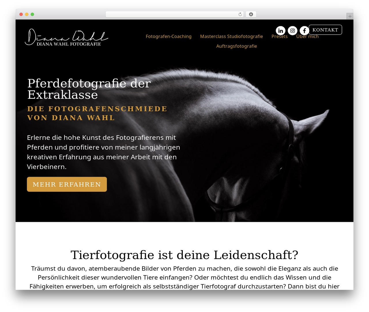 WordPress theme Thrive Theme Builder - dianawahl-fotografie.com