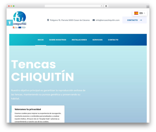 Theme WordPress Borex - tencaschiquitin.com