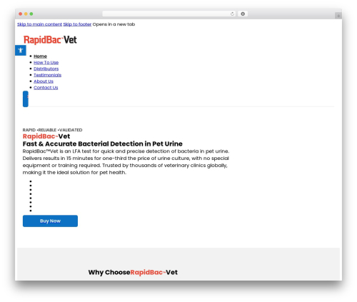 Max addons pro bricks WordPress plugin - rapidbacvet.com