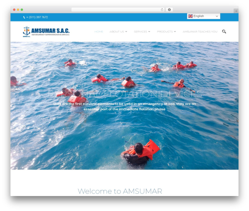 Themex ppro elementor WordPress plugin - amsumar.com