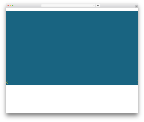 cds WordPress theme - customdivingsystems.com