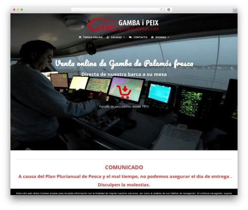 Create WordPress theme - gambapalamos.com