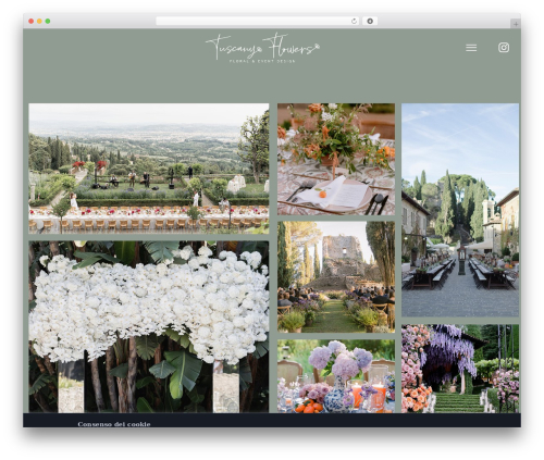 Agni fortun plugin WordPress plugin - tuscanyflowers.com