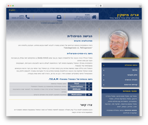 MentalPress WP Theme WordPress theme - aryemishkin.com