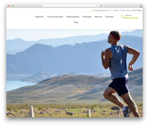 Theme WordPress Hello Elementor - aznutricion.es