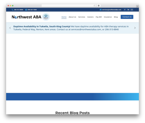 The7 WordPress theme - northwestaba.com