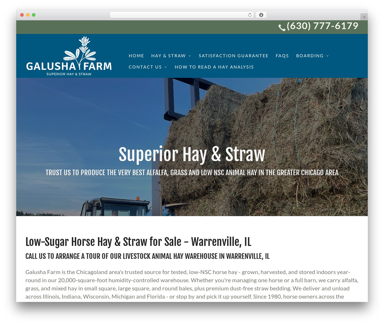 Theme WordPress Beacon Theme - galushafarm.com