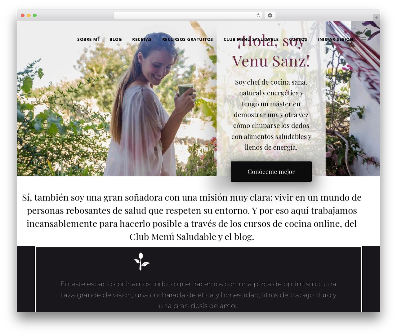 Theme WordPress Bridge Child - venusanzchef.com