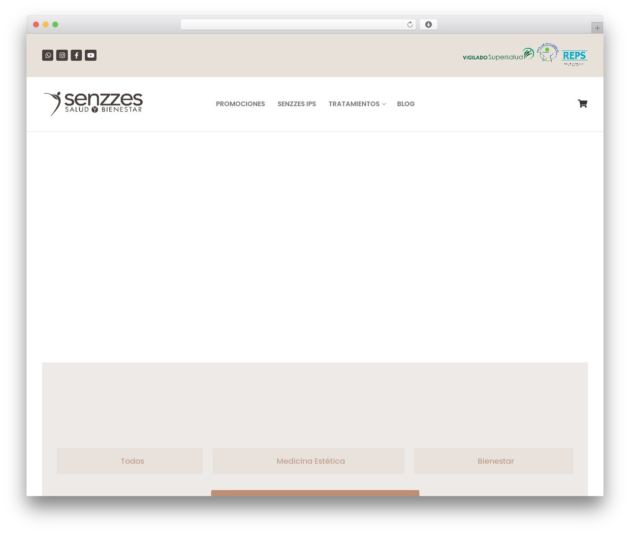 Theme WordPress Customify - senzzes.com