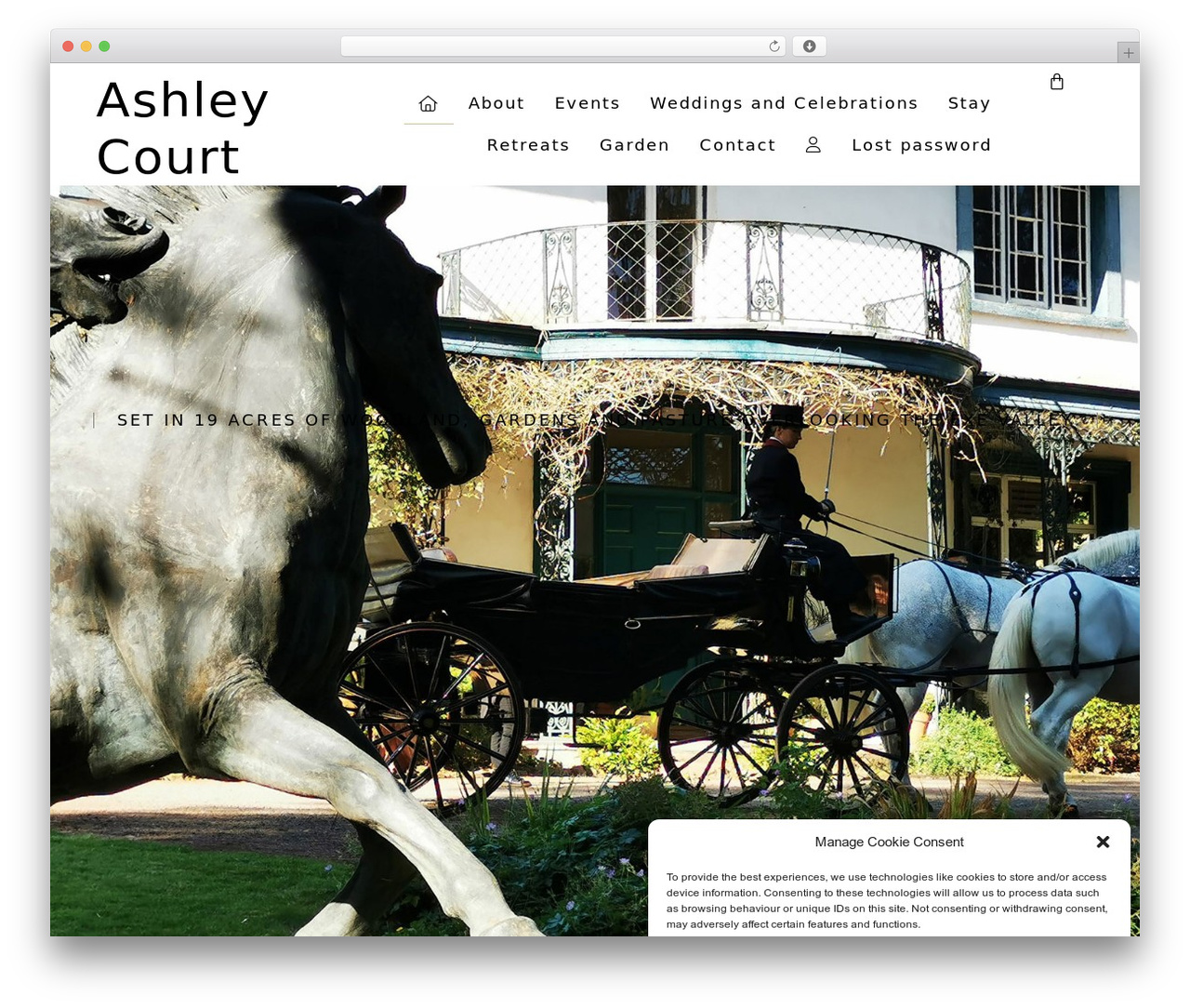 WordPress theme Hello Elementor - ashleycourtdevon.co.uk