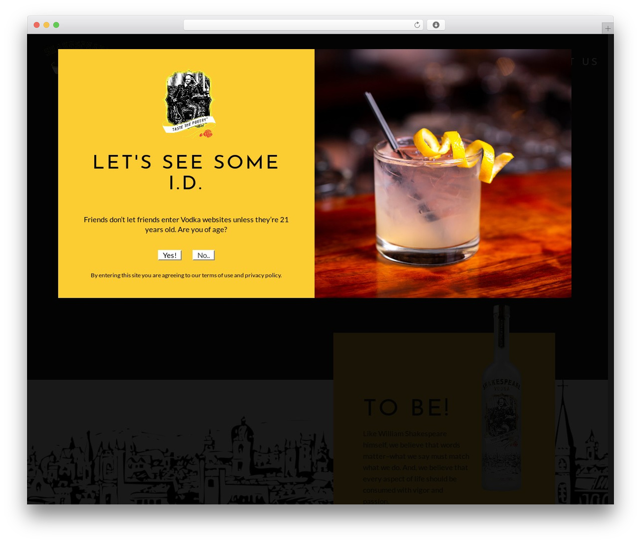 WP theme Divi - shakespearevodka.com
