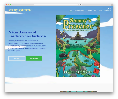 Bitfire WordPress plugin - sammyspresence.com
