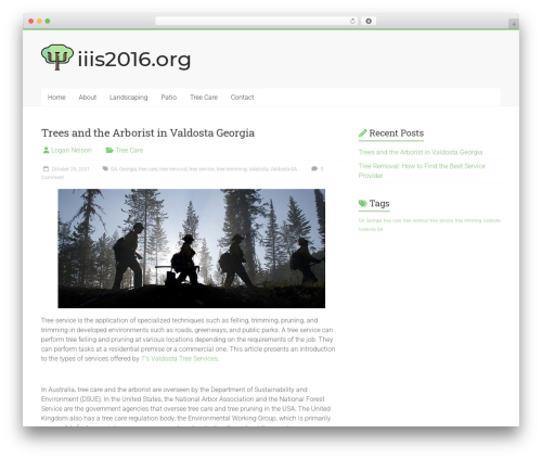 Accelerate theme WordPress - iiis2016.org