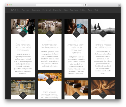 Best WordPress theme ReBlog - decus.sk