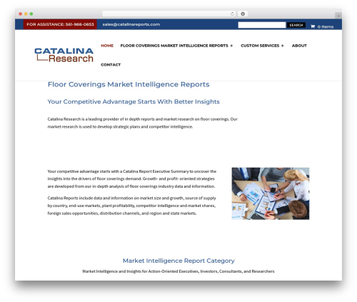 Divi theme WordPress - catalinareports.com