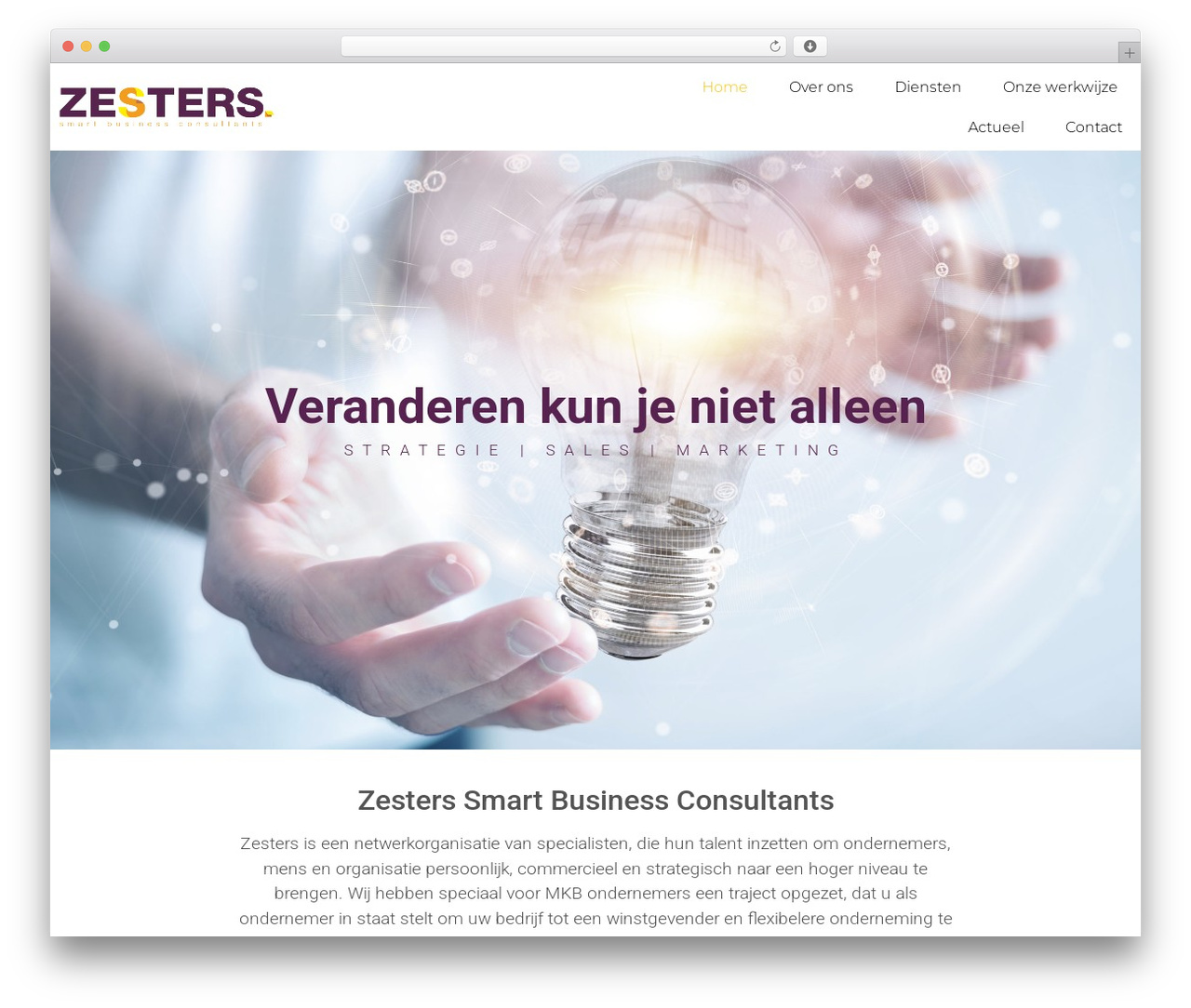 Hello Elementor theme WordPress - zesters.nl