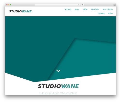 Owl Carousel WP (owl-carousel-wp) free WordPress plugin - studio-wane.com