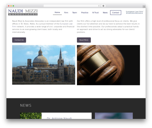 NIU Theme WordPress theme - naudimizzi.com