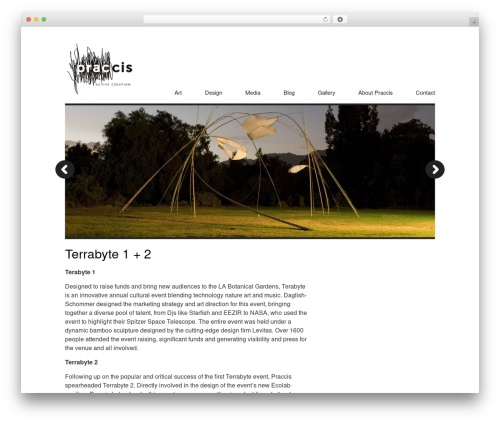 PRESS WordPress theme - praccis.com