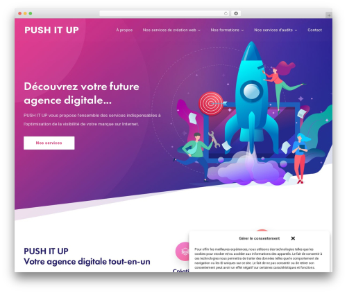 Radiantthemes custom post type WordPress plugin - pushitup.com