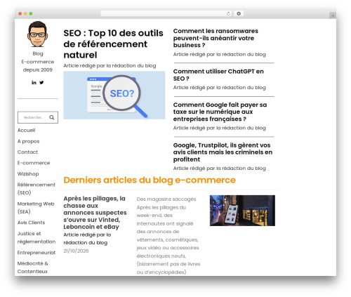 SA Template WordPress ecommerce theme - stephanealligne.com