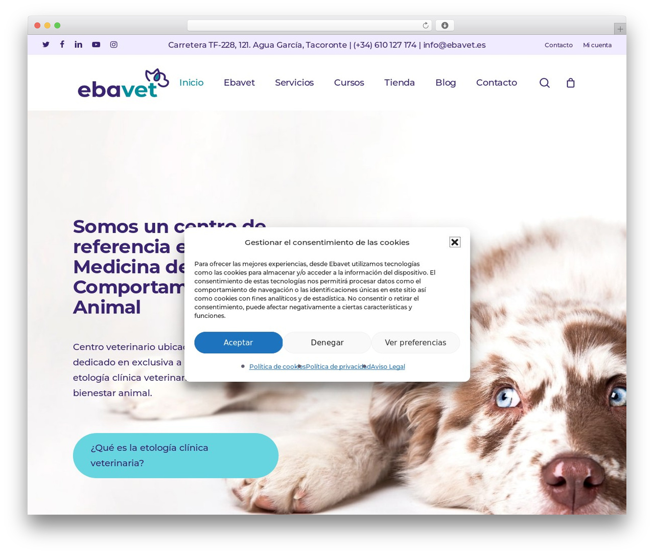 Salient Child Theme theme WordPress - ebavet.es Salient Child Theme theme WordPress - ebavet.es