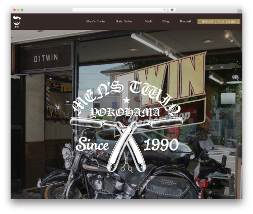 WordPress website theme WP11 - mens-twin.com