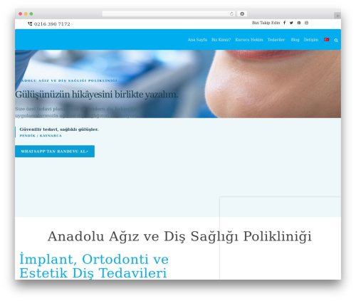 aleanta WordPress theme - anadoludis.com.tr