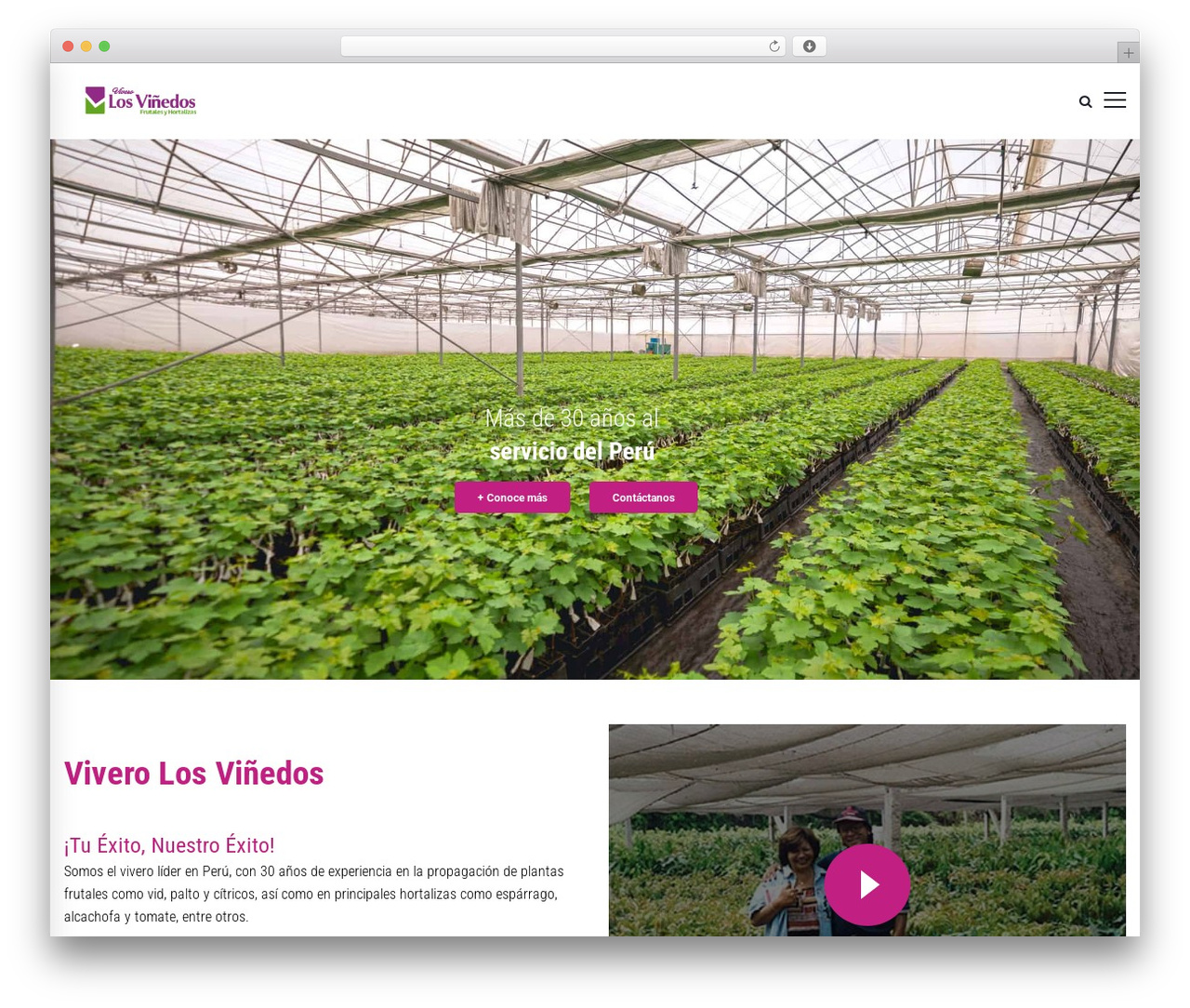 Conebrick WordPress theme - vlv.pe Conebrick WordPress theme - vlv.pe