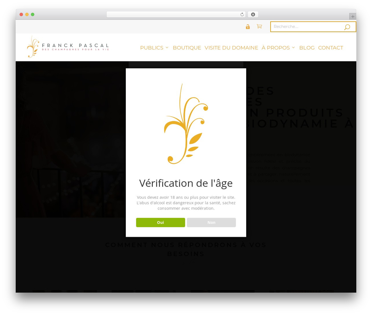 Divi WordPress theme - deschampagnespourlavie.com