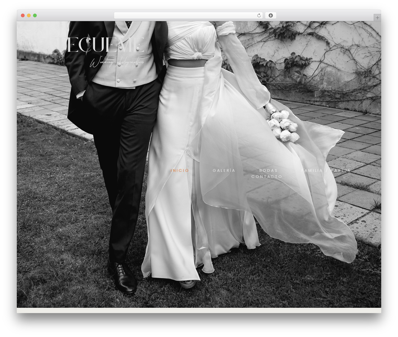 Hello Elementor WordPress website theme - tecuemestudio.com