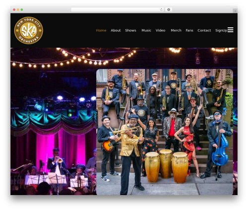 Liza Spotify Widget For Elementor (liza-spotify-widget-for-elementor) free WordPress plugin - nyc-ska-orchestra.com