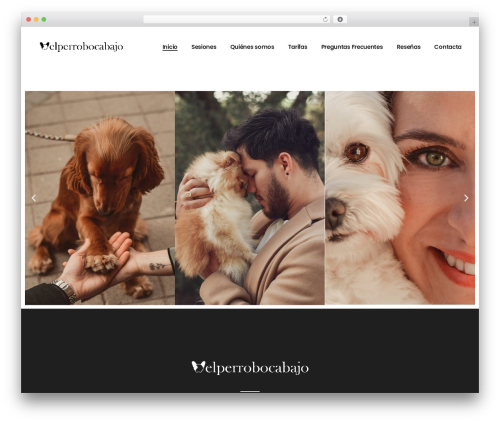 Lekker core WordPress plugin - elperrobocabajo.com