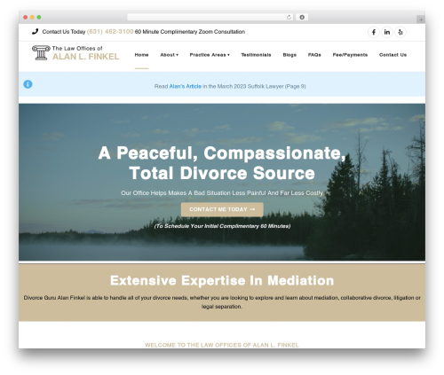 Speak api WordPress plugin - divorceguruny.com