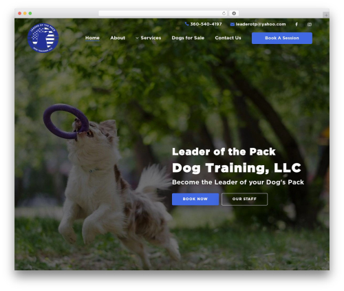 Theme WordPress Bridge - leaderotp.com
