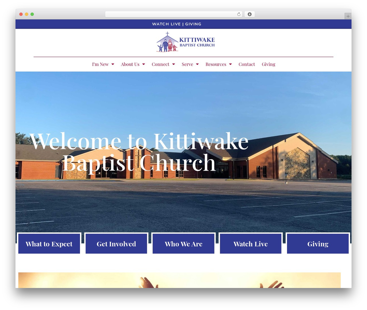 Theme WordPress Hello Elementor - kittiwake.org Theme WordPress Hello Elementor - kittiwake.org