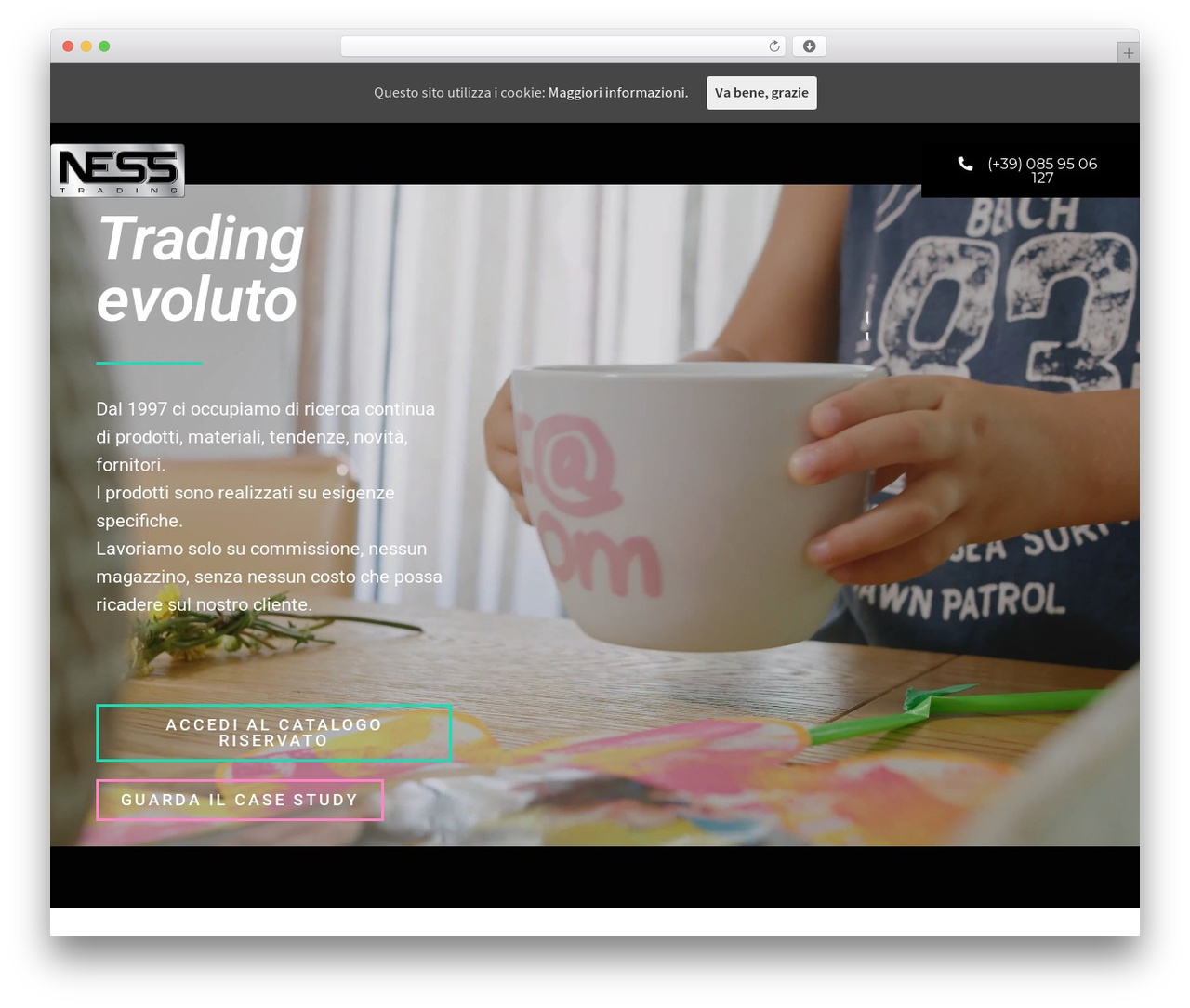 WordPress theme Storefront - ness.it WordPress theme Storefront - ness.it