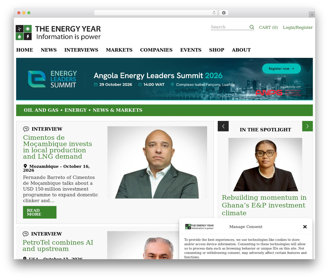 WordPress theme Togy Website Theme - theenergyyear.com