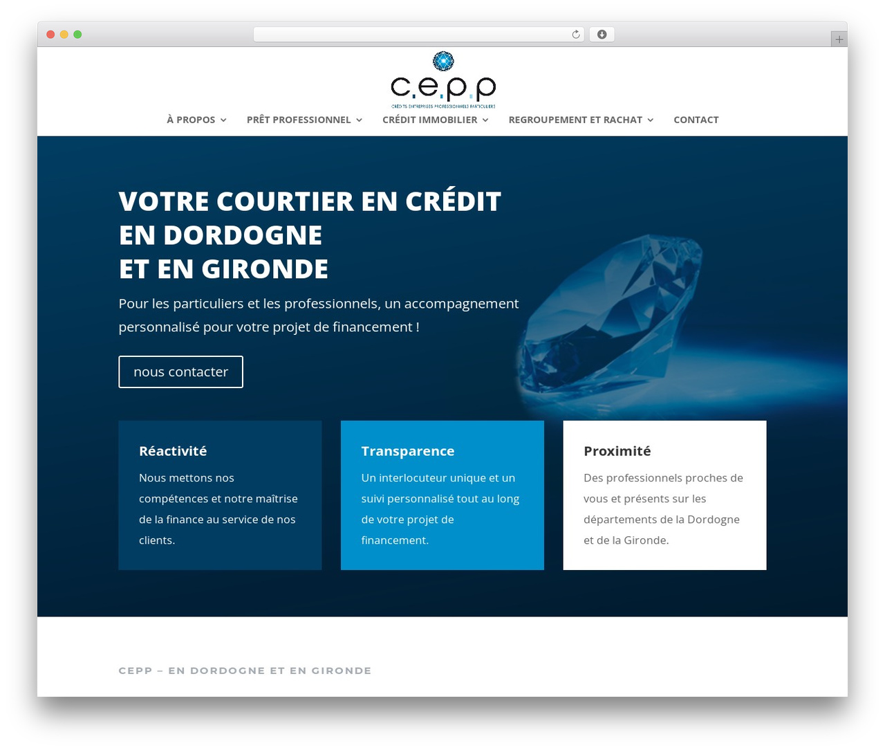 CEPP theme WordPress - cepp24.com