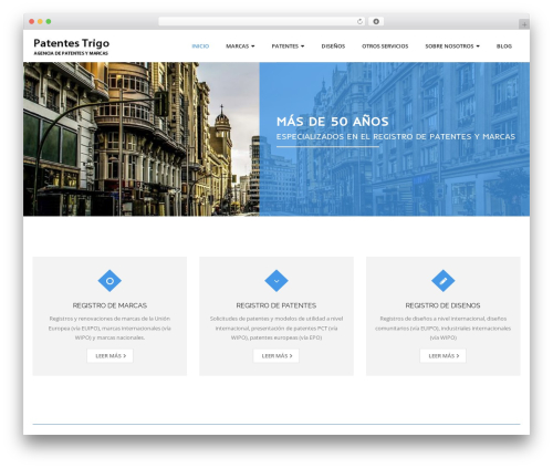 Thinkup panels WordPress plugin - patentestrigo.com